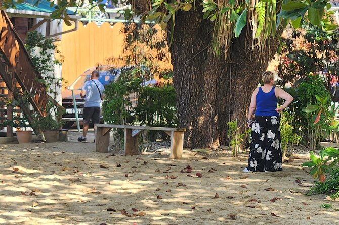 Half Day Tobago Tours with Transfers - Transfers and Comfort: The Start Really Matters in Tobago