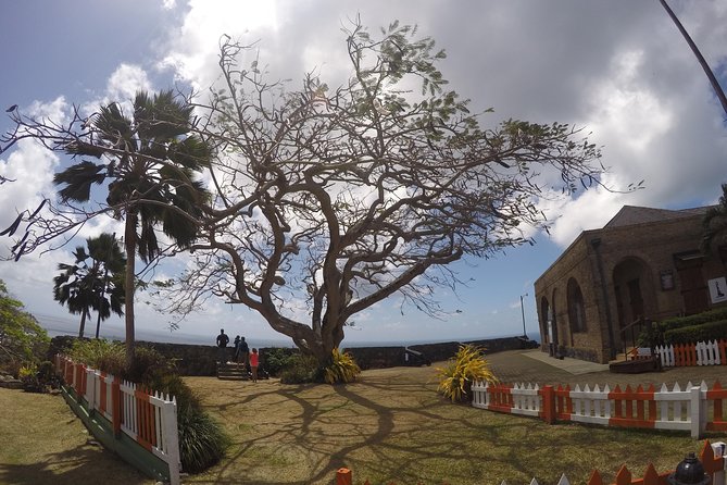 Highlights of Tobago Tour - Scarborough Botanical Garden: a short nature break in the capital