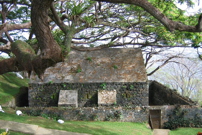 Highlights of Tobago Tour - The guide experience: when it makes the day, and when it doesn’t