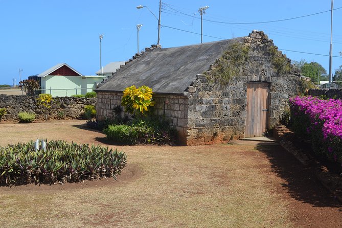 Highlights of Tobago Tour - Value and pricing: why $75 can make sense, and when it might not