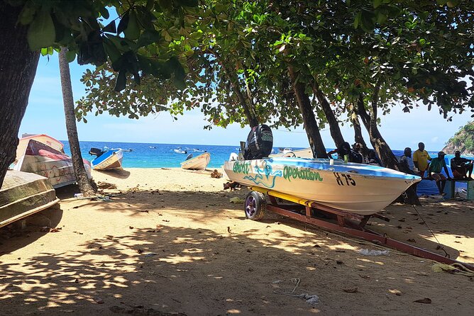 Island Tour (Food and Drinks include) - A tight route that actually fits Tobago time