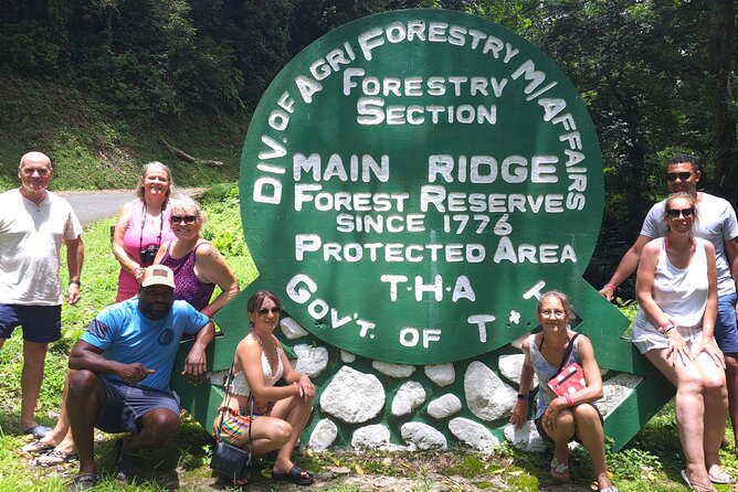 Island Tour (Food and Drinks include) - Price and value: $240 per person, for beaches plus rainforest