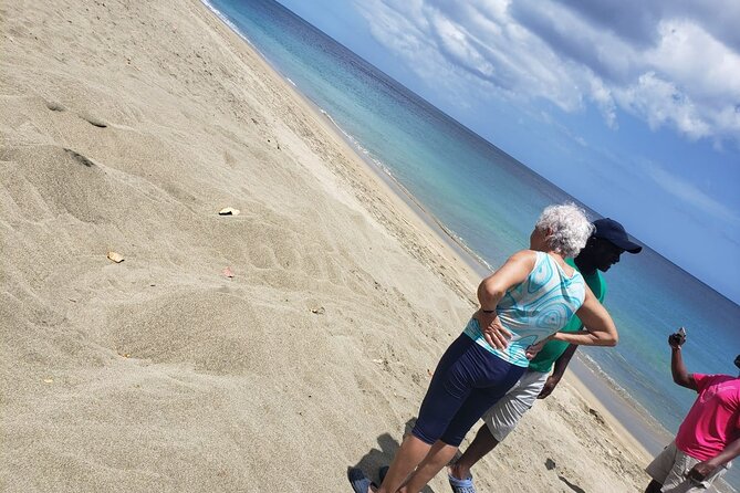 Island Tours of Tobago - How the guide keeps it custom, not cookie-cutter