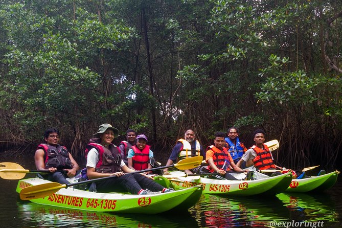 Kayak Adventure in the Second Largest Swamp of Trinidad and Tobago - Key Things I’d Prioritize on This Kayak Tour