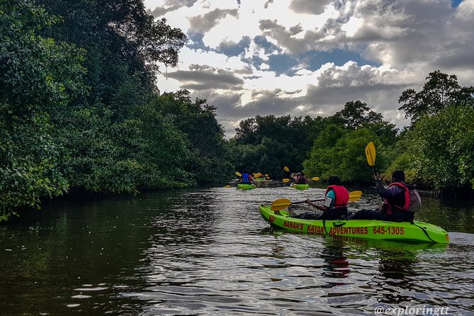 Kayak Adventure in the Second Largest Swamp of Trinidad and Tobago - Meet Dominic and Let the Wetland Teach You