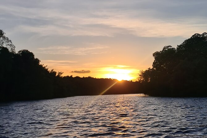 Kayak Adventure in the Second Largest Swamp of Trinidad and Tobago - Wildlife Spotting Expectations: Scarlet Ibis, Pink Birds, and the Quiet Moments