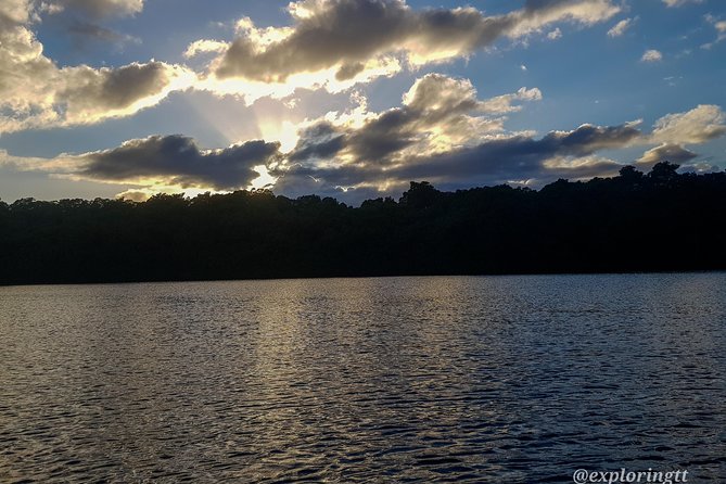 Kayak Adventure in the Second Largest Swamp of Trinidad and Tobago - Paddling Effort and Heat: How Strenuous Is This?