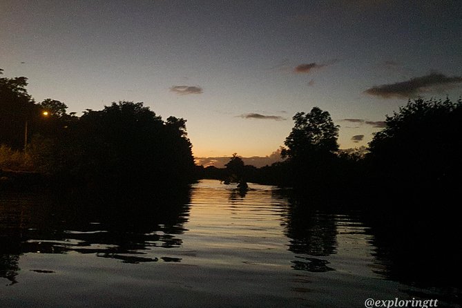 Kayak Adventure in the Second Largest Swamp of Trinidad and Tobago - Timing Matters: Choosing the Right of Three Tour Times