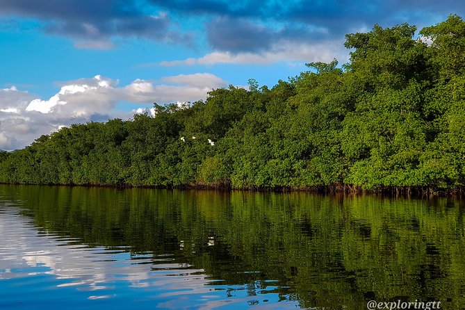 Kayak Adventure in the Second Largest Swamp of Trinidad and Tobago - Logistics That Make It Easier Than You Think