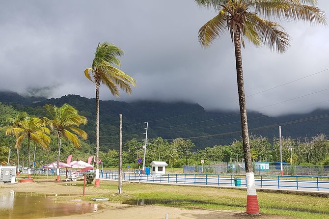 Maracas Beach - Group size up to 20: easy logistics, less crowd pressure