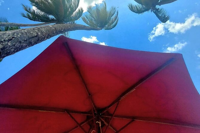 Maracas Beach Excursion & City Pass by tour - Woodford Square and Queen’s Park Savannah: a city break that feels worth it