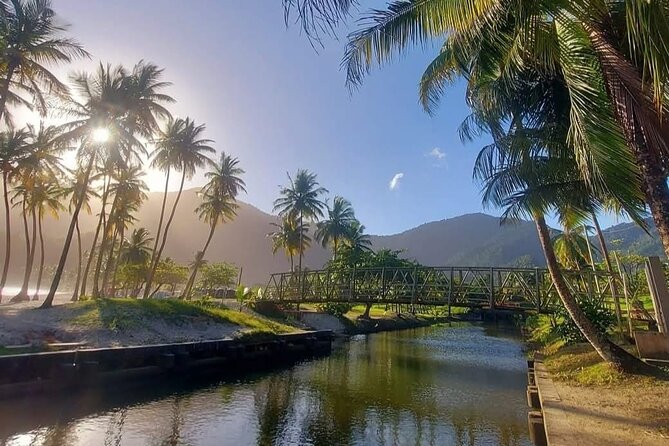 Maracas Beach Excursion & City Pass by tour - Practical tips for a smooth day, from mobile tickets to swim gear