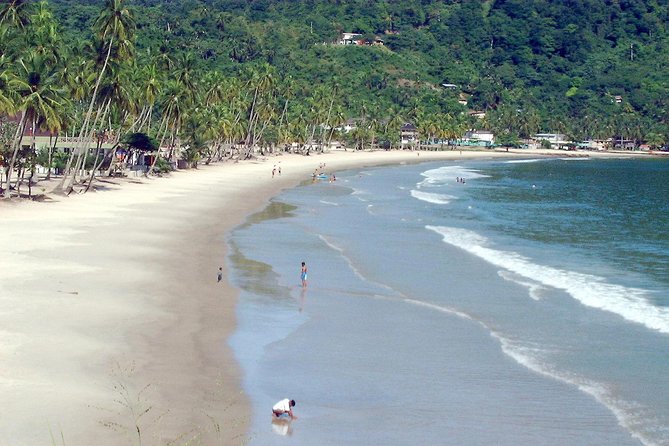 Maracas Beach Trip - Key things that make this Maracas trip worth your time
