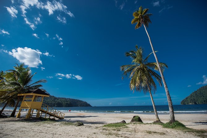 Maracas Beach Trip - Getting to Maracas Lookout without turning your day into logistics