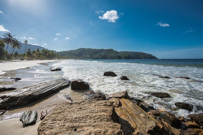 Maracas Beach Trip - Booking confidence: what to expect on the day