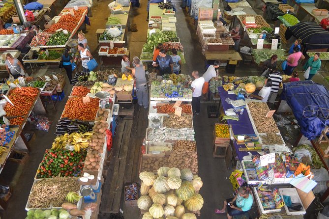 Mini Island Tour of Trinidad - Key points before you go