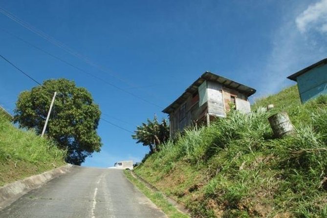 Paramin Jeep Tour in Trinidad - Comfort and safety on windy roads with sharp turns