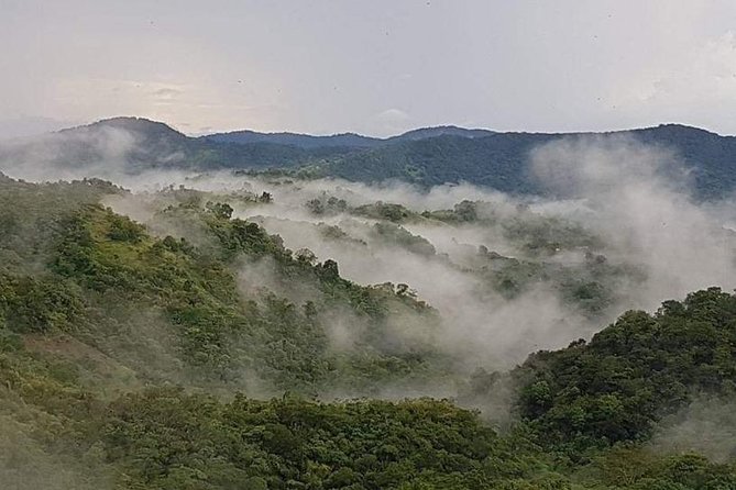 Paramin Jeep Tour in Trinidad - Guides and personal touches: what makes it feel worth it