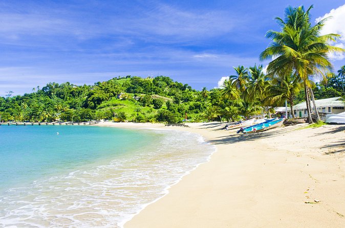 Partlatuvier Bay Day Trip with Lunch - Caribbean-Style Lunch and Why It’s a Smart Inclusion