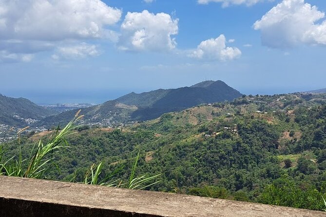 Personalized Private Tour The Paramin Hills - Stop 1: Paramin Hills, City Views and the Cool-Air Contrast