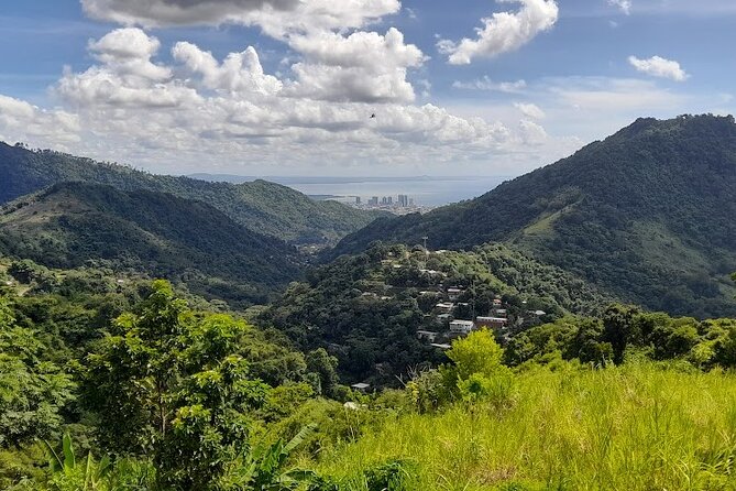 Personalized Private Tour The Paramin Hills - Pickup, Mobile Tickets, and Private-Group Comfort