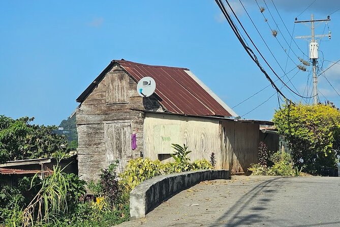 Personalized Private Tour The Paramin Hills - Who This Tour Is Best For (And Who Might Not Love It)