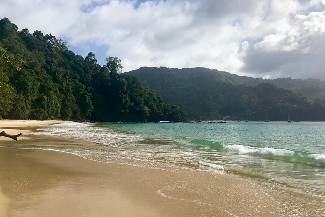 Pirate's Bay Day Trip with Lunch - Pirate’s Bay in Charlotteville: a cove that feels like movie magic
