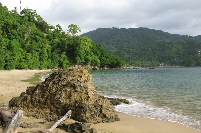 Pirate's Bay Day Trip with Lunch - Price and value: what $185 buys you on a small-group day