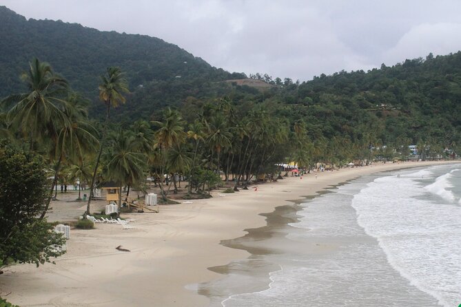 Port of Spain City Highlights and Maracas Beach - Guides That Really Change the Day: Janelle, Kerwyn, Marcus, Sharon, Summer, and Bridgette