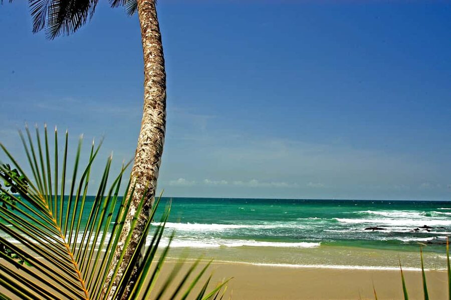 Port of Spain: Coastal Tour of Trinidad - North Coast Road to Maracas Lookout: The View That Changes Everything