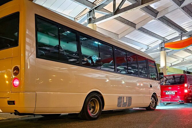 Private Transfer from Piarco Airport to San Fernando - The 2-hour ride: what the timing is really good for