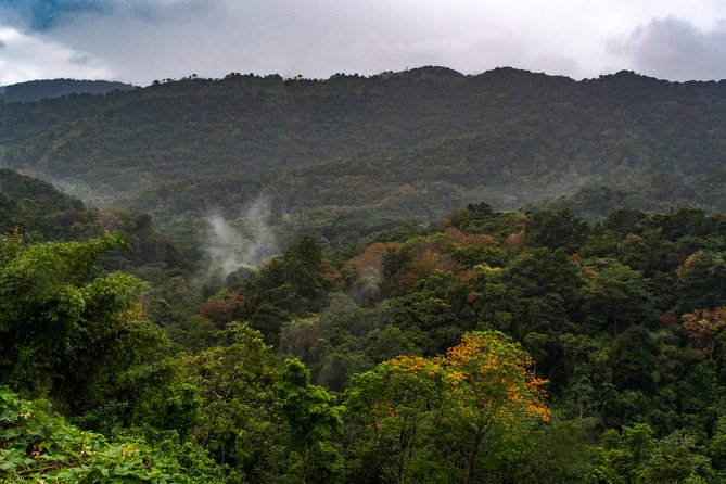 Rainforest Tour - Entering Tobago Main Ridge Forest Reserve, a 1776 rainforest