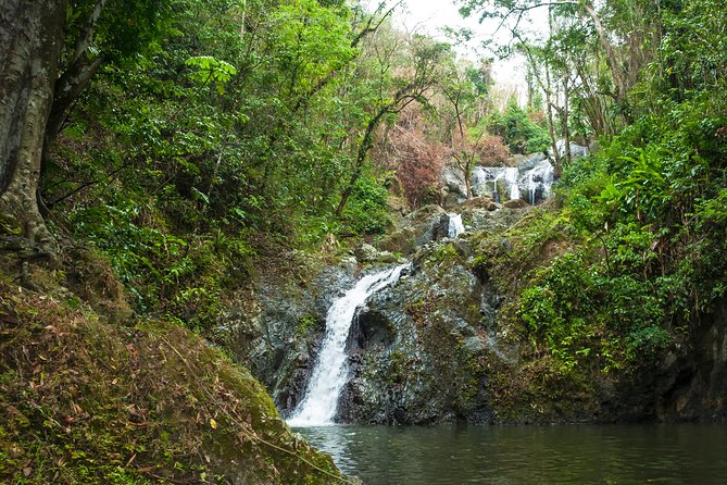 Rainforest Tour - What to pack: shoes, camera, and insect repellent you bring yourself