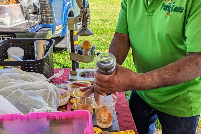 Saturday Markets & Brunch Tour - Queen’s Park Savannah Farmers Market: Sugar Cane Juice and Local Goods