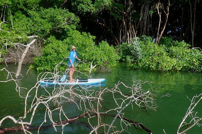 Stand Up Paddle Lessons - Pricing in Context: Is $61.54 a Good Value for a 1-Hour Lesson?