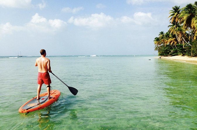 Stand Up Paddle Lessons - Booking Tips: How to Choose the Right Time to Go