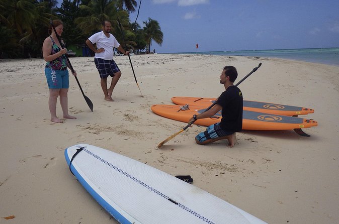 Stand Up Paddle Lessons - Should You Book This Stand-Up Paddle Lesson at Pigeon Point?
