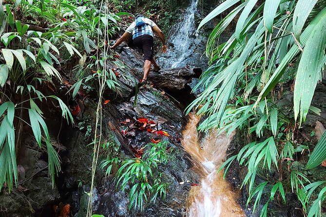 The Grand Circle 24-Hour All-Inclusive Island Experience - How the 24 hours actually flow in Tobago