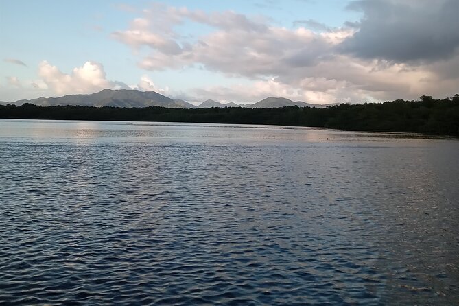 The Scarlet Ibis - Caroni Swamp Tour - Timing details: a 3:00 pm start that actually makes sense