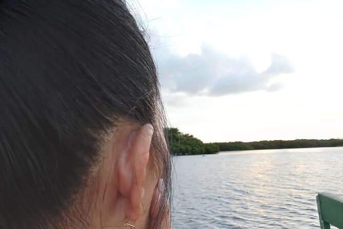 The Scarlet Ibis - Caroni Swamp Tour - The guide experience: safety first, then stories that make the swamp click