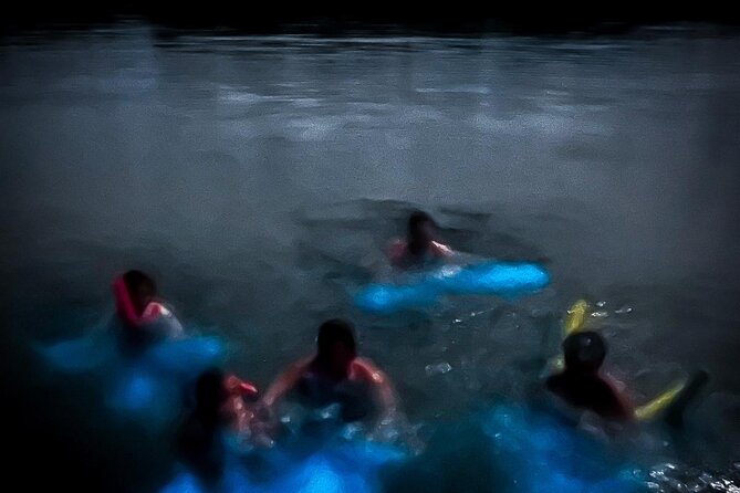 The ULTIMATE Bioluminescence night time adventure with Brandon - Key Things You’ll Notice on This Bioluminescence Night Adventure