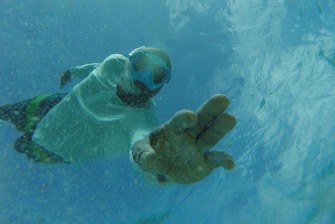 The ULTIMATE Bioluminescence night time adventure with Brandon - Nylon Pool: A Classic Tobago Stop With a Night-Glow Twist