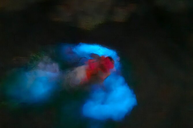 The ULTIMATE Bioluminescence night time adventure with Brandon - Brandon as Host and Captain: Small Group Control