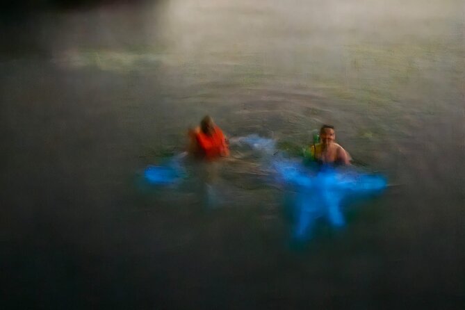 The ULTIMATE Bioluminescence night time adventure with Brandon - Pacing, Weather, and Physical Fitness: Know the Practical Side