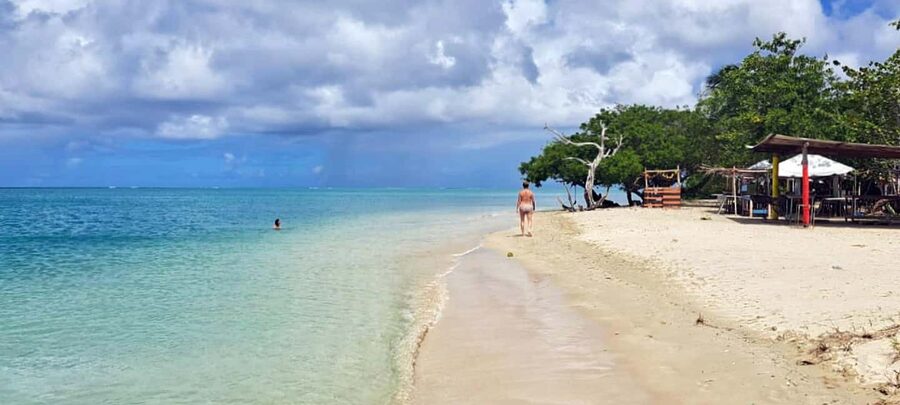 Tobago: Buccoo Reef and Nylon Pool Boat Tour with Transfer - Price and value: does $40 make sense for what you get?
