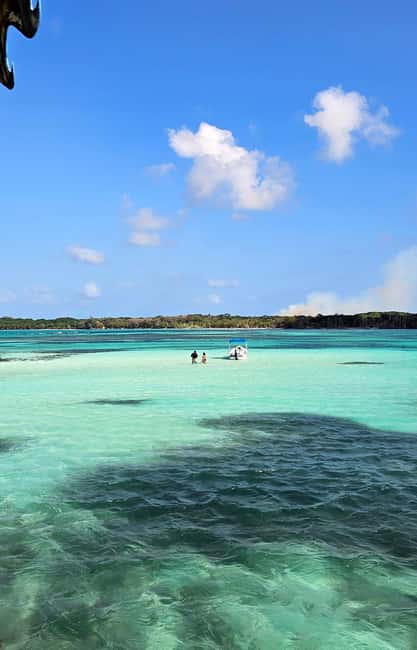 Tobago: Buccoo Reef and Nylon Pool Boat Tour with Transfer - Who this tour is perfect for, and who should rethink it