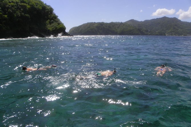 Tobago Buccoo Reef Glass Bottom Boat Cruise and Island Sightseeing Tour - Nylon Pool snorkeling and swimming, your best water time