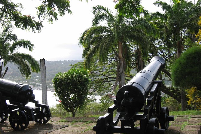 Tobago Buccoo Reef Glass Bottom Boat Cruise and Island Sightseeing Tour - Timing, group size, and the one thing to watch