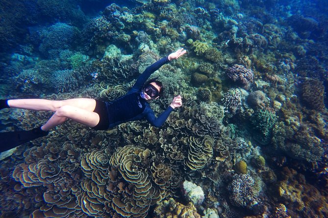 Tobago Buccoo Reef Glass Bottom Boat Tour - Nylon Pool: the shallow sand-and-sea-water stop that people remember
