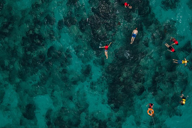 Tobago Buccoo Reef Glass Bottom Boat Tour - Where it fits in your Tobago day: value, price, and what you are really paying for